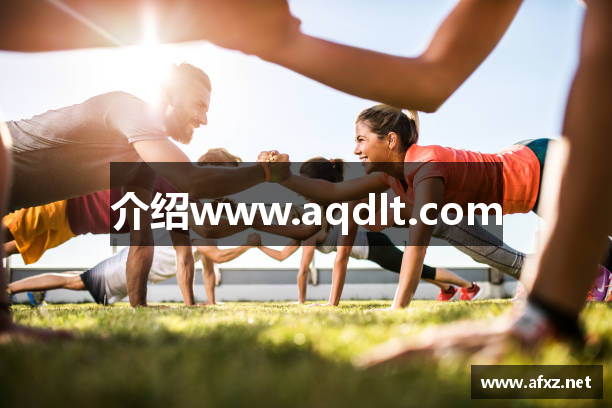 介绍www.aqdlt.com